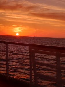 W. Reich, El Reflejo del Orgasmo y su Implicancia Clínica.